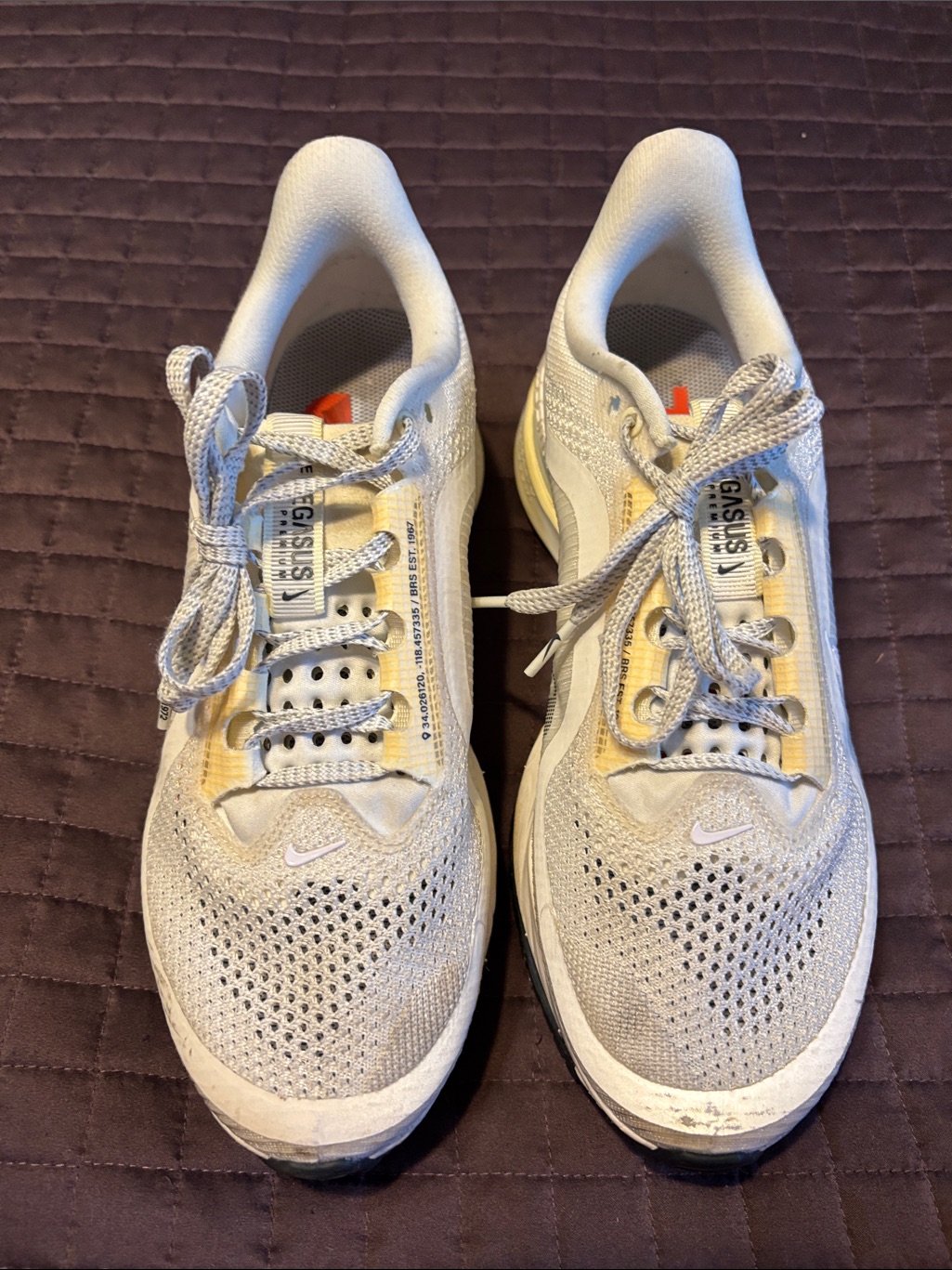 Nike Pegasus Premium Running Shoe Women’s Size 9